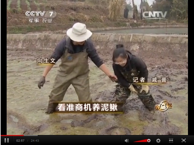 沈陽向生文瞅準(zhǔn)商機(jī)養(yǎng)泥鰍致富傳奇視頻