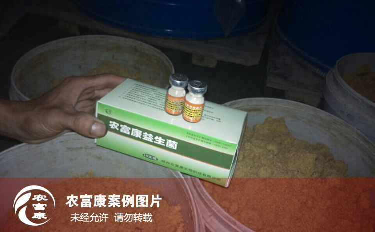 農富康養(yǎng)殖em菌種給豬飲水拌料用戶使用案例圖片